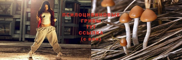 прущая мука Балахна