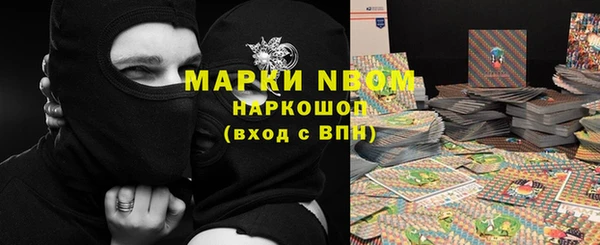 ГАЛЛЮЦИНОГЕННЫЕ ГРИБЫ Белокуриха