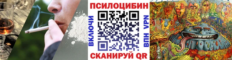блэк спрут как войти  Ульяновск  Псилоцибиновые грибы прущие грибы  купить  сайты 